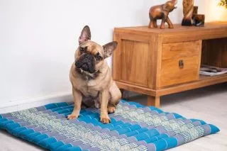 Quilted Seat Cushion Size XL